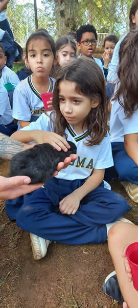 Bicho Mania 2022